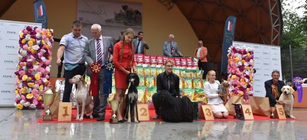 Šalčininkuose rinko gražiausius šunis