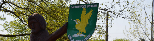 Baltosios Vokės seniūnijos metų žmogus 2017