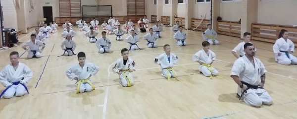  Sztuka Karate Kyokushin w Solecznikach