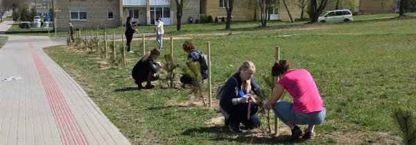 Administracja samorządu rejonu solecznickiego dołączyła do akcji „Darom”