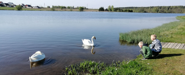 Nerekomenduojama maudytis Šalčininkų paplūdimio maudykloje