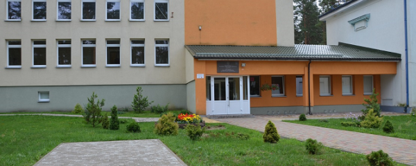 Remonto darbai Baltosios Vokės E. Ožeškovos gimnazijoje