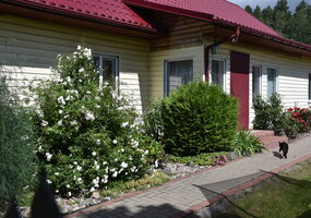 galerijos nuotrauka