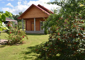 galerijos nuotrauka