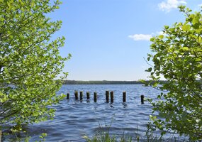 galerijos nuotrauka