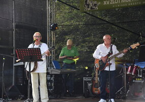 XV Vilniaus krašto muzikantų sąskrydis