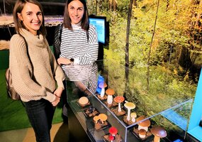 galerijos nuotrauka