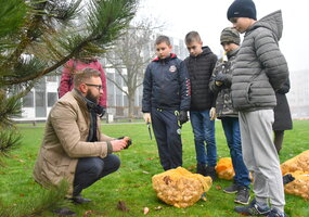 Pavasarį Šalčininkuose sužydės narcizai ir žydrės