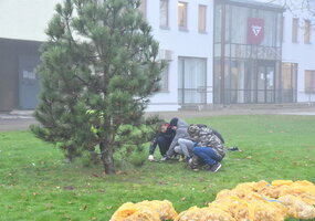 Pavasarį Šalčininkuose sužydės narcizai ir žydrės