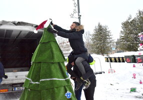 Aleja choinkowa rozświetliła Soleczniki
