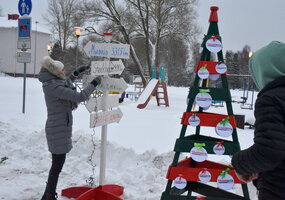 Pirmą kartą Šalčininkuose – įmonių ir įstaigų eglučių alėja!