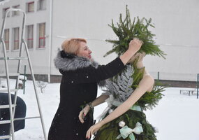 Pirmą kartą Šalčininkuose – įmonių ir įstaigų eglučių alėja!