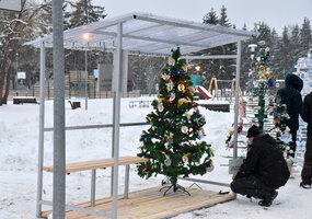 Pirmą kartą Šalčininkuose – įmonių ir įstaigų eglučių alėja!