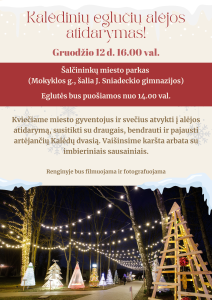 Kalėdinių eglučių alėjos atidarymas!