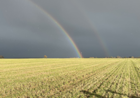 Mokinių nuotraukų konkursas „Mano tėviškė