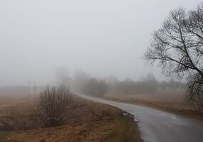 Mokinių nuotraukų konkursas „Mano tėviškė