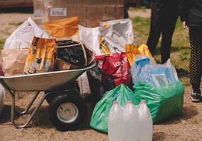 Tiesiame pagalbos ranką gyvūnų prieglaudai