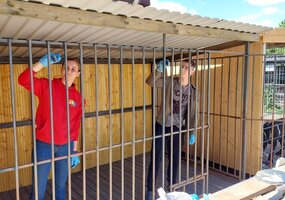 Tiesiame pagalbos ranką gyvūnų prieglaudai