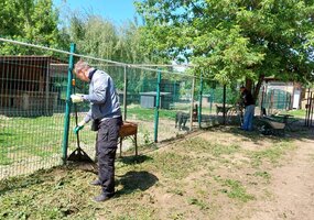 Tiesiame pagalbos ranką gyvūnų prieglaudai