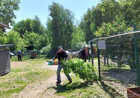 Tiesiame pagalbos ranką gyvūnų prieglaudai