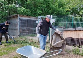 Tiesiame pagalbos ranką gyvūnų prieglaudai