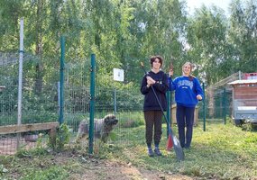 Tiesiame pagalbos ranką gyvūnų prieglaudai