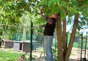 Tiesiame pagalbos ranką gyvūnų prieglaudai