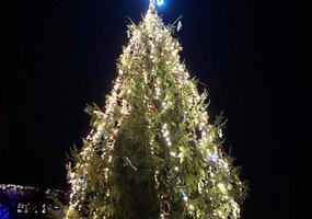 Gerviškės