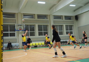 Tradicinis MIX tinklinio tirnyras