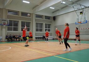 Tradicinis MIX tinklinio tirnyras