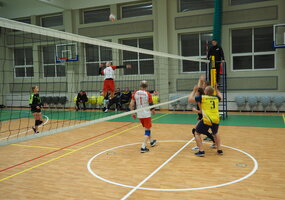 Tradicinis MIX tinklinio tirnyras