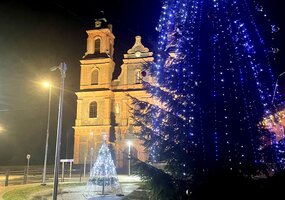 Turgeliai