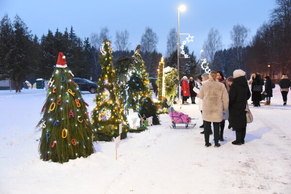 Šalčininkų eglučių alėja nušvito antrą kartą!
