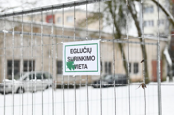Gdzie i kiedy wyrzucić choinkę?