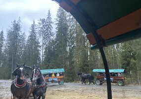 Solecznicka młodzież w Murzasichle