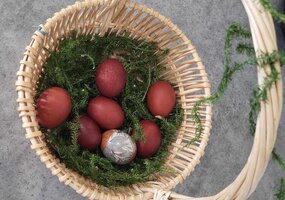 Tabariškės: džiaugsmas ir mažiems, ir dideliems
