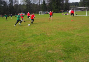 Šalčininkų rajono mažojo futbolo 7x7 turnyras LSD „Žalgiris“ taurei laimėti