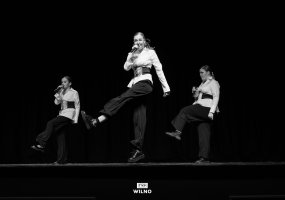 Eišiškių krašto talentų vakaras