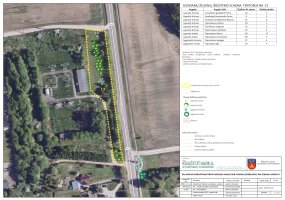 Sodinamų želdinių išdėstymo schema