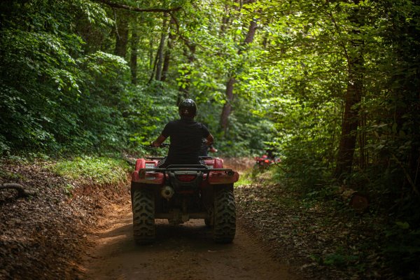 Miškas – ne trasa: Valstybinių miškų urėdija primena lankymosi miške taisykles