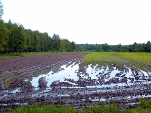 Dėl ilgo lietingo laikotarpio paskelbta valstybės lygio ekstremalioji situacija