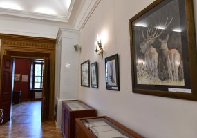 Prezidento Komorowskio vizitas ir Janickio piešiniai Šalčininkuose