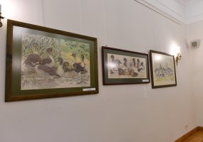 Prezidento Komorowskio vizitas ir Janickio piešiniai Šalčininkuose