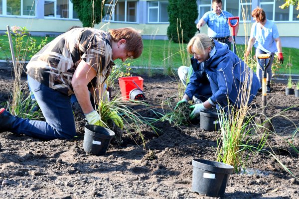 Stiprinamas aplinkosauginis sąmoningumas: daugiau augalų Šalčininkų mieste