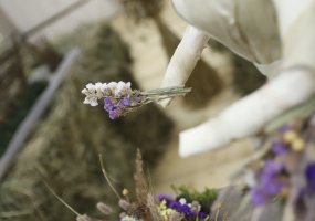 galerijos nuotrauka