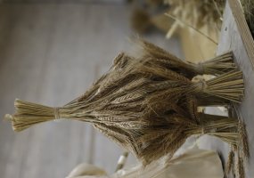 galerijos nuotrauka