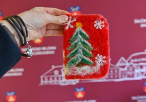 Šalčininkų knygos ir pelėdos nutūps ant Prezidentūros kalėdinės eglės
