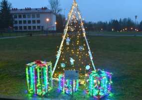 W Solecznikach rozbłysła Aleja Choinek