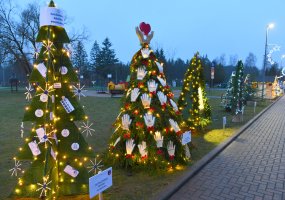 Šalčininkuose vėl nušvito įmonių ir įstaigų eglučių alėja!