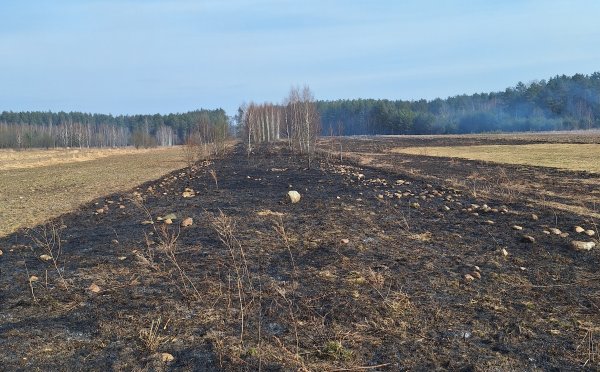 Nedegink žolės, saugok tai, kas gyva